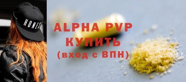 твердый Протвино