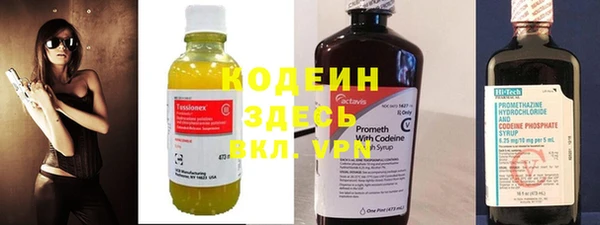 твердый Протвино