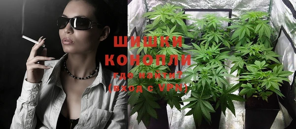твердый Протвино