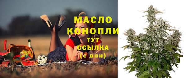прущий лед Абаза
