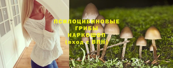 прущий лед Абаза