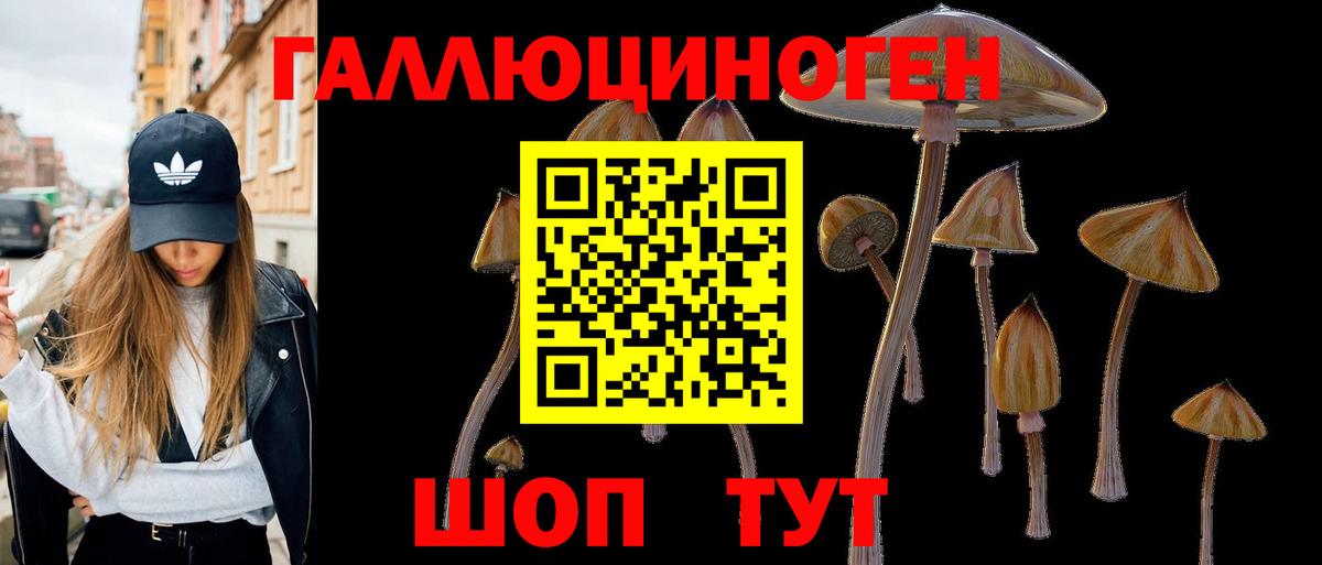 Зеленокумск  Галлюциногенные грибы ЛСД  Вход с VPN  Псилоцибиновые грибы Psilocybe 